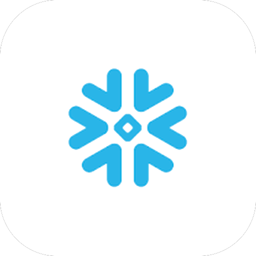 Snowflake